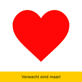 ZWARTE HERENSOKKEN MET GEBORDUURDE HART - Waardering die je voelt