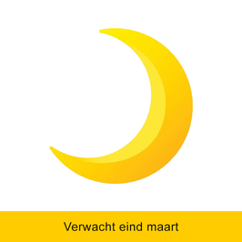 ZWARTE HERENSOKKEN MET GEBORDUURDE HALVE MAAN - Rust in elke stap