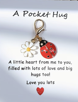 Pocket hug (lievenheersbeestje sleutelhangertje)