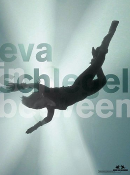 Eva Schlegel - in between / MAK (Kunst Buch / art book 2011).