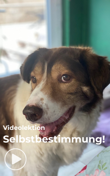 Über die Wichtigkeit von Selbstbestimmung