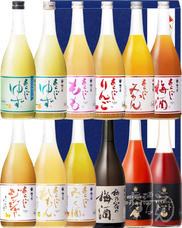 梅乃宿 あらごし全部セット(12本)