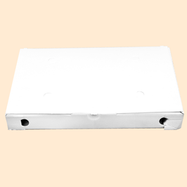 SCATOLA PINSA (100 PZ)