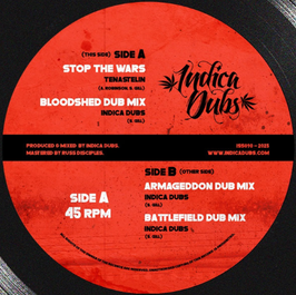 TENA STELIN - Stop The Wars (Indica Dubs 12")