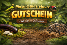 Gutscheine