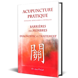 Livre Acupuncture  Pratique Barrières des Membres format PDF