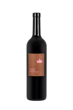 PINOT NOIR ALTE REBE