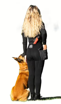 IQ Performance Leggings - Dein Training, Dein Style