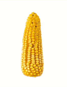 URUAPEÑO AMARILLO. San Nicolás Amealco, Almoloya de Juárez, EDO Mex