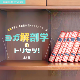 ヨガ解剖学のトリセツ