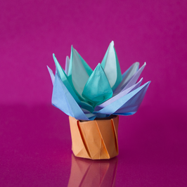 Sukkulente Origami blau