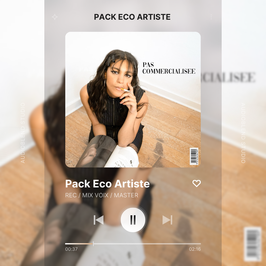 PACK ECO ARTISTE