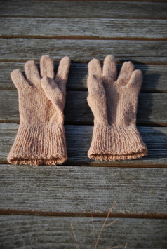 Strickanleitung für Fingerhandschuhe Bellis