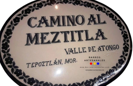 Placa Domiciliaria Realzada Bouquet Azul Ovalada