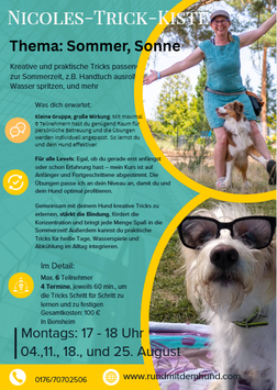 Nicoles-Trick-Kiste  Sommer