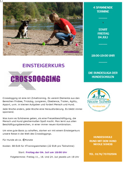 Crossdogging Einsteiger