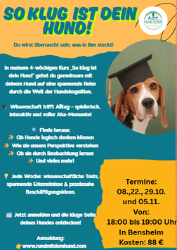 So klug ist dein Hund!
