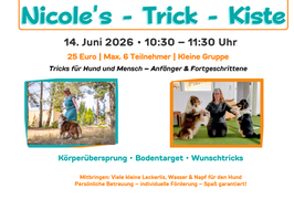 Nicoles-Trick-Kiste 14.06.