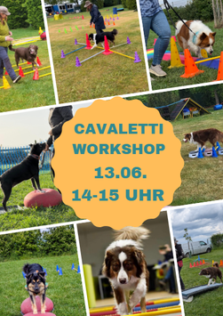 Cavaltetti