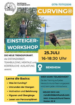 Curving Einsteiger Workshop