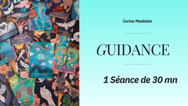 Guidance personnalisée 30 mn