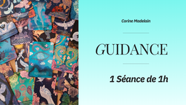 Guidance personnalisée 1h