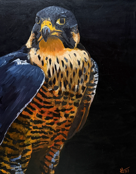 Falcon – Original