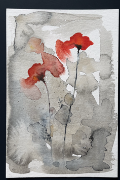 Coquelicot no 54