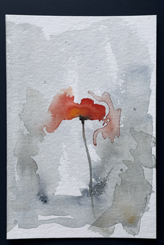 Coquelicot no 52