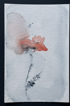 Coquelicot no 51