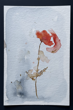 Coquelicot no 55