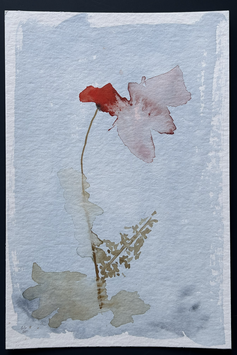 Coquelicot no 59