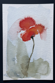 Coquelicot no 57
