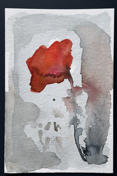 Coquelicot no 53