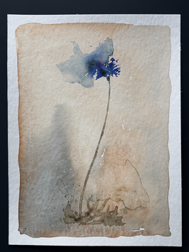 Bleuet no 90
