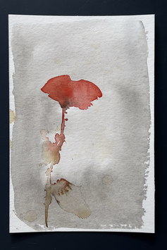 Coquelicot no 50