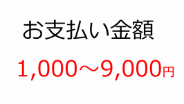 お支払いカート（1,000～9,000円）