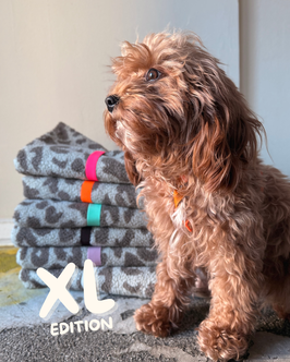 Hundedecke Leo taupe XL