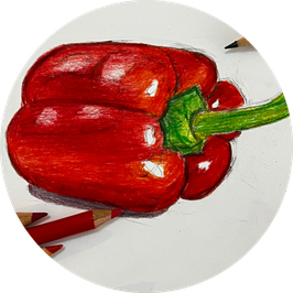 Sehen lernen und zeichnen