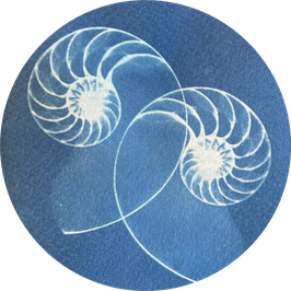 Blaue Magie mit Sonnenlicht