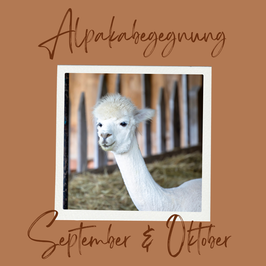 TERMINANFRAGE - September & Oktober