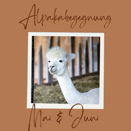 TERMINANFRAGE - Mai & Juni