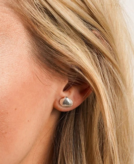 Ohrstecker Herzmuschel - Silber
