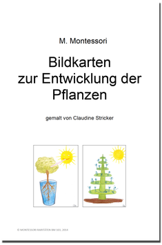 BM103: Bildkarten zur Entwicklung der Pflanzen (A3)