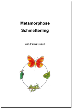 BM171: Forscherheft Metamorphose Schmetterling