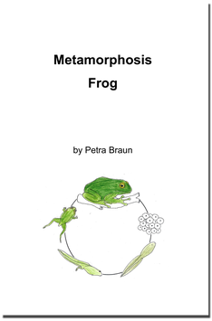 BM451: Metamorphosis Frog