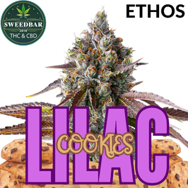Lilac Cookies - Ethos Genetics
