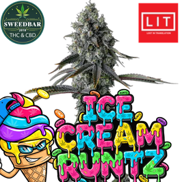 Ice Cream Runtz (US Cali) - Express Versand 24h