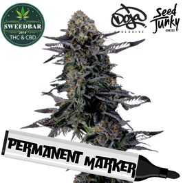 Permanent Marker - 24H Versand