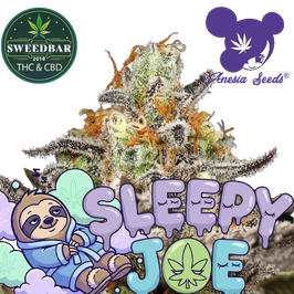Sleepy Joe >30% THC - Express Versand 24h